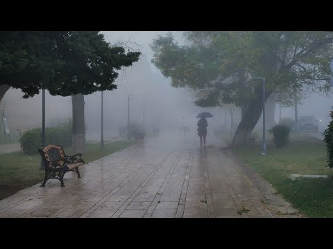 ნისლში ჩაკარგული ქალაქი