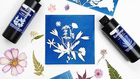 Cyanotype Printing: How to Make Sun Prints Step-by-Step