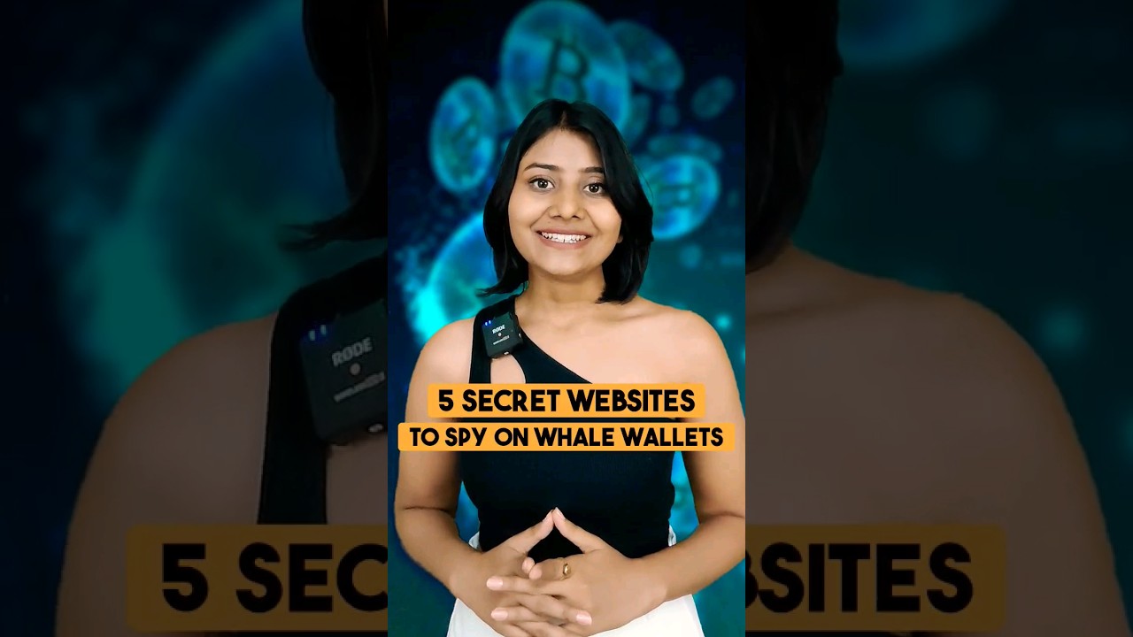 Top 5 Secret Websites to Spy on Whale wallets 