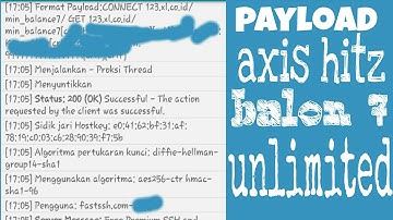 Payload Axis Hitz Balon 7 UNLIMITED