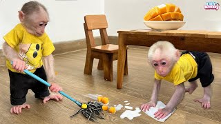 Smart monkey Lily cleans the house when dad is away
