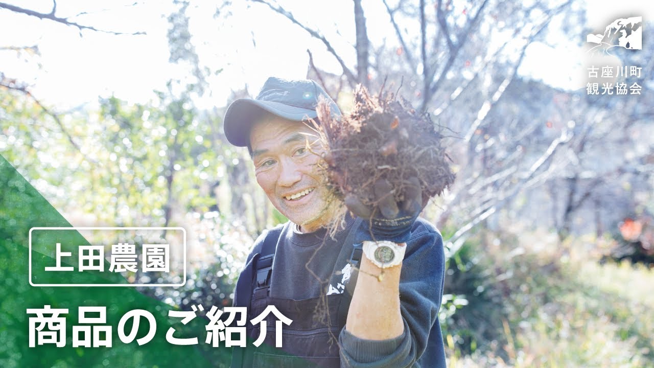 上田農園［山の番茶・どくだみ茶・ウコン］ | 古座川町観光協会