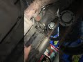 Installing StrongFlex Poly Bushings 1990 LS400 Diff Removal #1uz #lexusls400