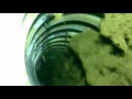 palm fiber drying process Mp3