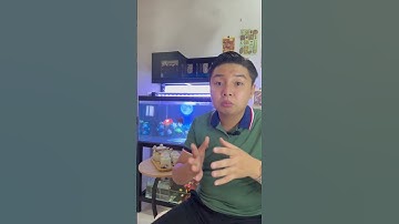 Phân tích cổ phiếu Ngân hàng P2 #taichinh #cophhieu #chungkhoan