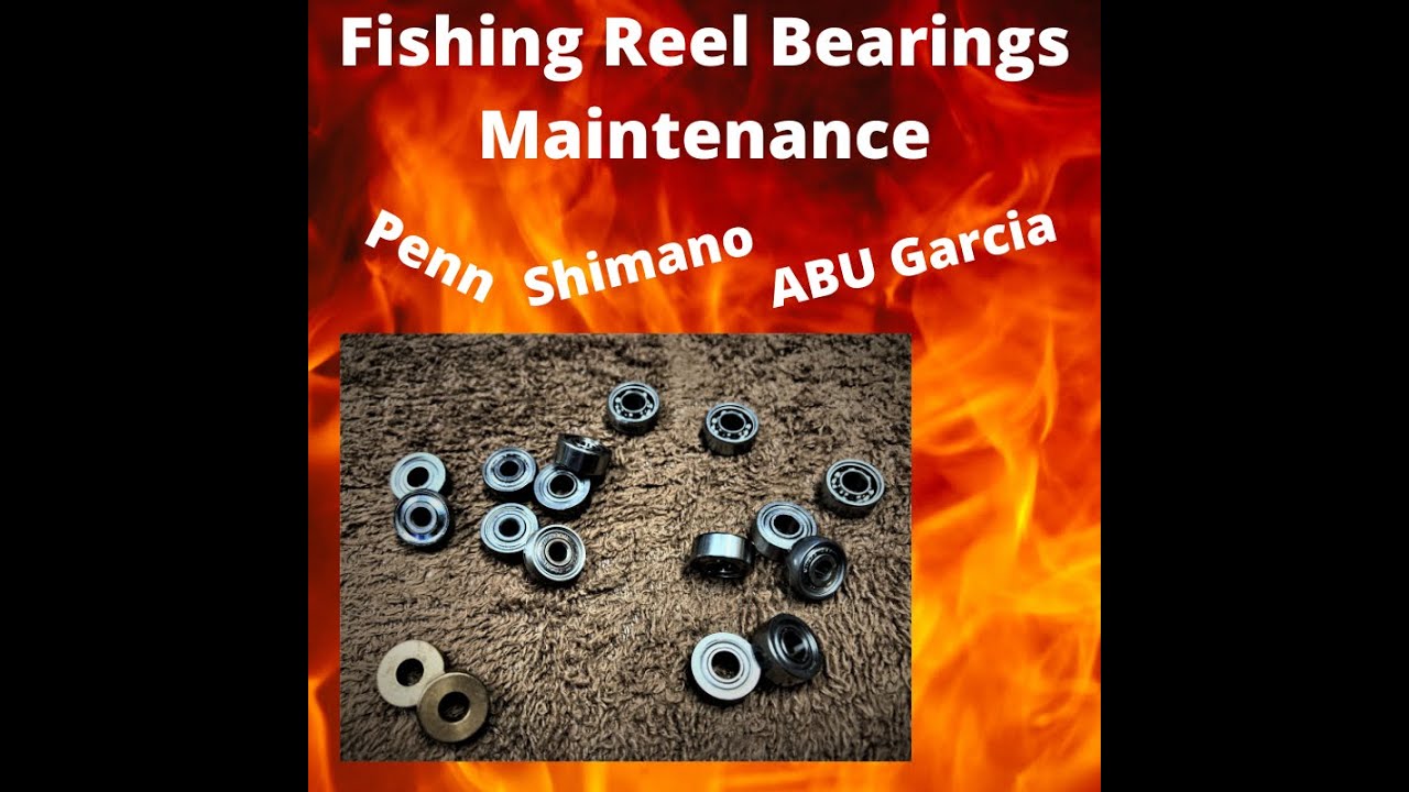 Fishing Reel Bearings ABU Garcia Shimano Penn Maintenance Clean