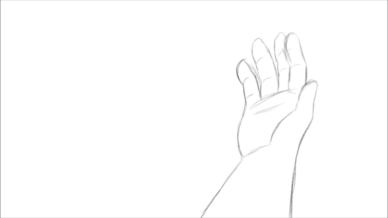 Transformation (animation) Hand To Paw POV - YouTube