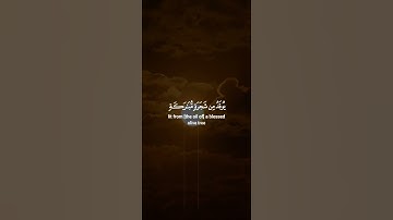 اكتب شيء تؤجر عليه 😴🩶 قران كريم | ياسر الدوسري
