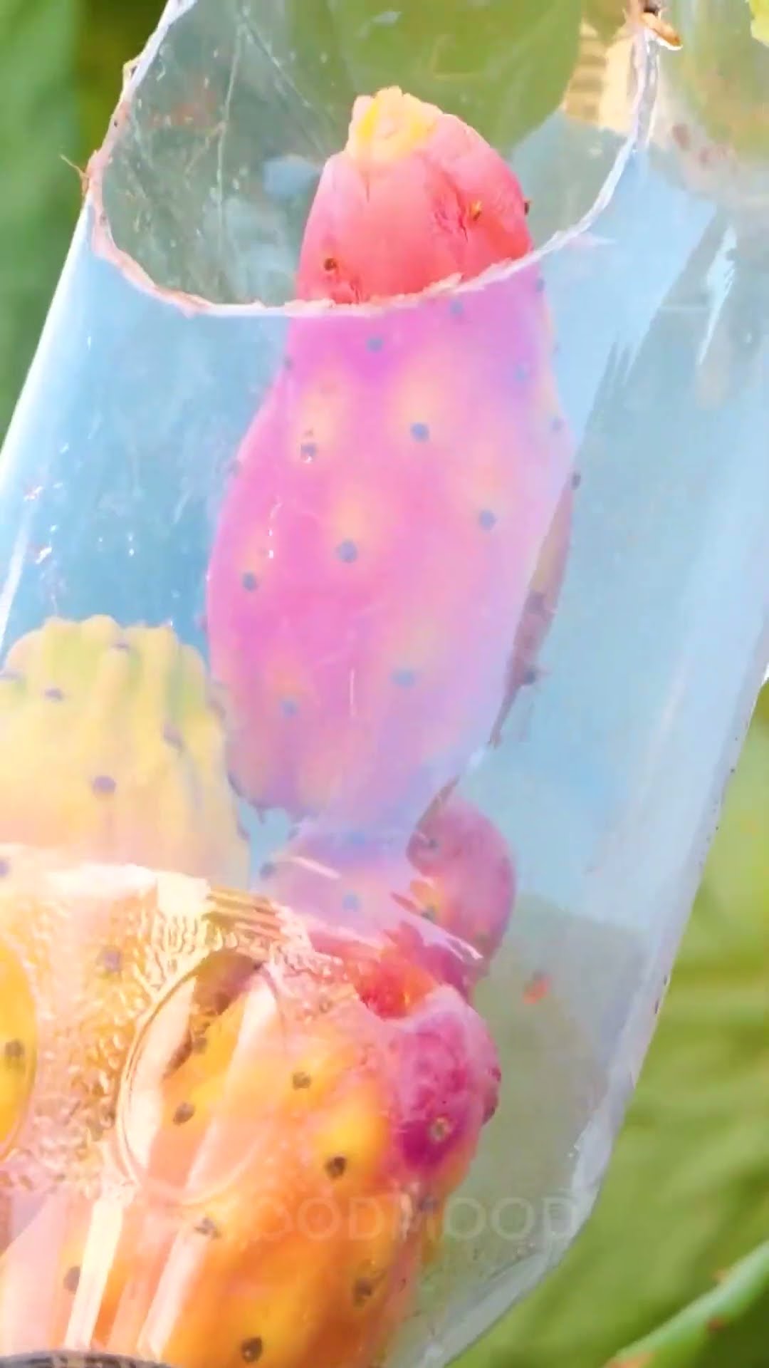 Discover These Genius Harvesting Hacks for Your Garden! ?
