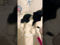 #funny I’m so happyyy stoppp