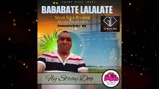 Bababate Lalalate fly Stray Dog 
