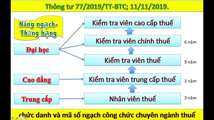 Ngạch kiểm tra viên thuế là gì năm 2024