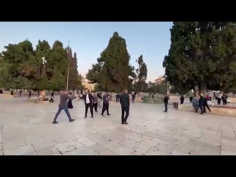 باحات الأقصى مع شروق شمس اليوم