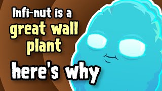 Infi-nut is a great wall plant: here's why