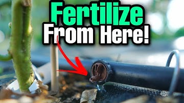 Hoe u kunt BEMEST via uw DRUPPEL-irrigatiesysteem!