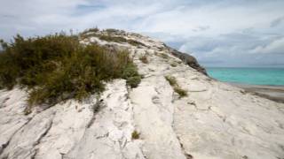 Great Harbour Cay II, The Berry Islands, The Bahamas