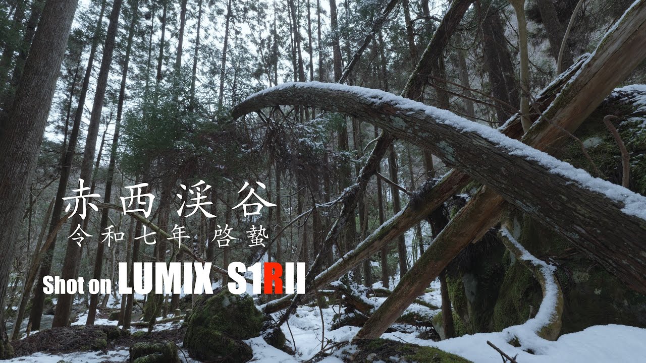 赤西渓谷 令和七年 啓蟄 Shot on S1RII - YouTube