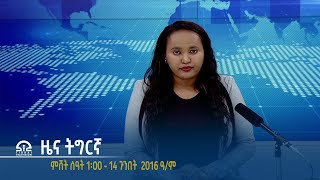 #ቴሌቪዥን_ትግራይ | ዜና ትግርኛ ምሸት ሰዓት 1፡00 - 14 ጉንበት 2016 ዓ/ም | Watch Live Streaming |