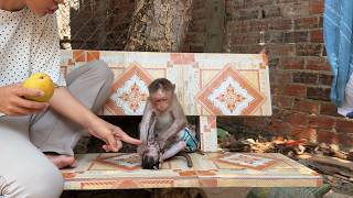 [STOP] Minea P-ush Monee Make Mom Anqry Her And Discipline Her