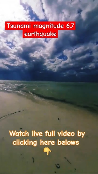 Japan tsunami eyewitness