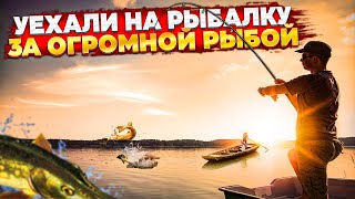 Выбрались На Рыбалку За Огромной Рыбой ( Русская Рыбалка 4 )  🅻🅸🆅🅴