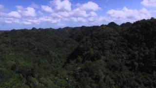 The Rappelling 120', 2015