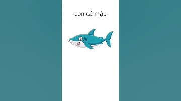 Động vật 3 Short của Tiếng Anh Lớp 4 i Learn Smart Start Unit 1 Animals Lesson 3