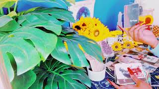 WHAT DID YOU DO? THIS PUBLIC APOLOGY IS LOUD THEY FEAR THIS WONT BE GOOD ENOUGH🧿THIS 3RD PARTY IS🤬