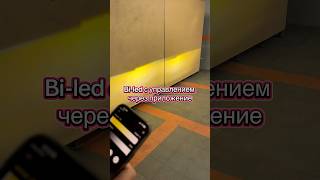 Biled модули с управлением через приложение #biled #biledсприложением