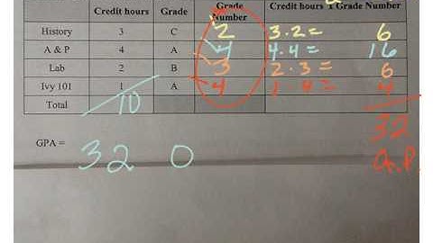 Weighted Averages: Counts (9)