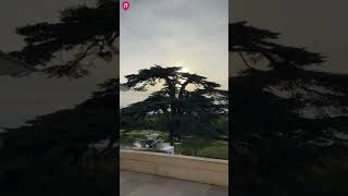Piano & Cello Duo in Bordeaux, France for Wedding & Events - Double Chords