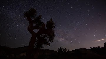 Joshua Tree Timelapse 2019