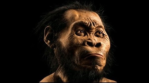 Dangerous fossil-finding expedition leads to discovery of new human ancestor