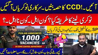 CCD Government Jobs 2026 From SP to Constable - How to Apply Ali Ramay Vlog City42