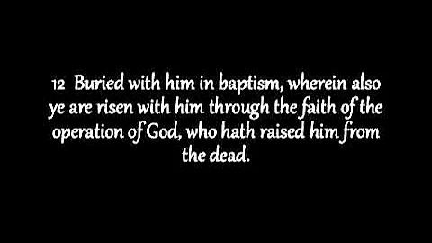 Colossians Chapter 2 KJV AV Read Along