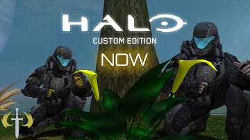 Halo CE NOW! February (2017): AI Synchronisation, Mo