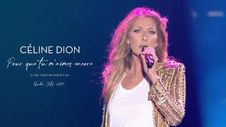 Celine Dion - Pour que tu maimes encore (Live Instrumental / Quebec City, 2013)