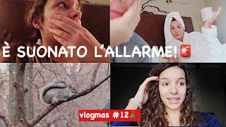 Dobbiamo evacuare l’hotel? || vlogmas 12/12/2018