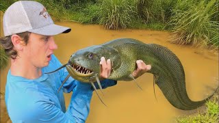 Znalazłem kosmiczną rybę w opuszczonym stawie! screenshot 4