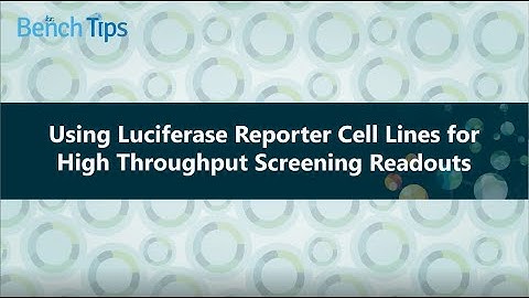 Using Luciferase Reporter Cell Lines for High Throughput Screening Readouts