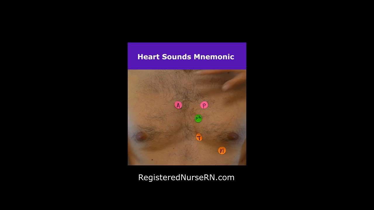 Heart Sounds Auscultation Shorts S1 S2 Nursing Assessment Aortic Pulmonic Tricuspid Mitral 