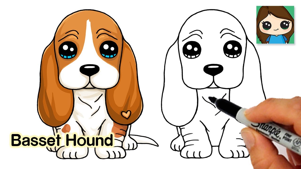 How To Draw A Basset Hound Puppy Dog Easy Youtube