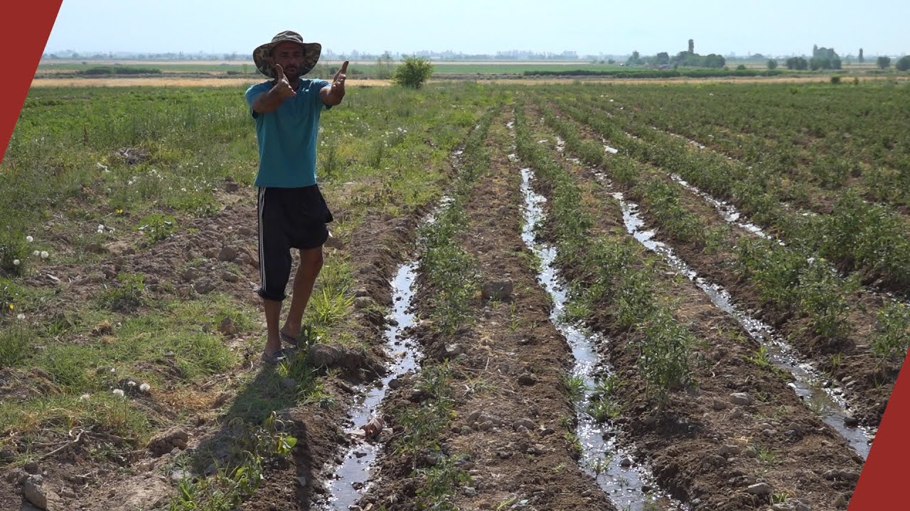 «Ջո՛ւր տվեք, ցավներդ տանեմ, ջրի հարցը լուծեք, պատերազմից բեթար ա»․ Ակնալճի հողատեր