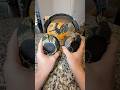 Skullcandy made the best gaming headset I’ve used #skullcandy #realtree #gamingheadset #headphones