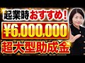 【最新版】個人事業主にもおすすめ!最大600万も手に入る驚愕の助成金
