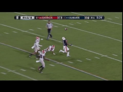 Auburn vs. Georgia 2013 - Winning TD (Auburn Announcers)