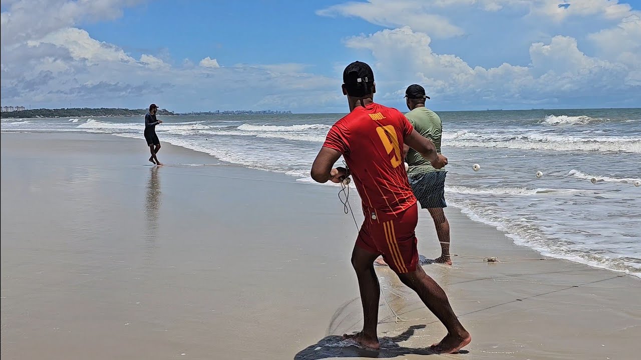 CARDUMES DE TAINHAS EM NOSSA PRAIA.