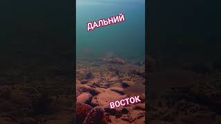 #горнаярыбалка #таймень зимние рыболовные туры