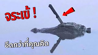 ดูคลิปนี้จบรู้เลยว่าทำไม ??? 🐊 จระเข้ถึงมีชีวิตรอด ตั้งยุคไดโนเสาร์มาจนถึงปัจุจบัน !!!