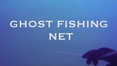 Ghost Fishing Net | Torden Visuals